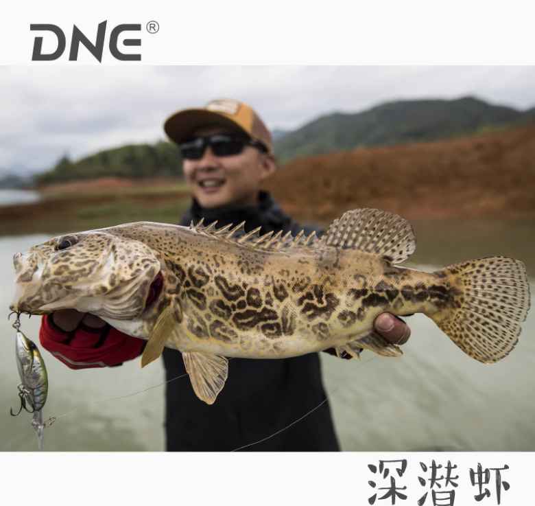 DNE Deep Diving Floating Minnow