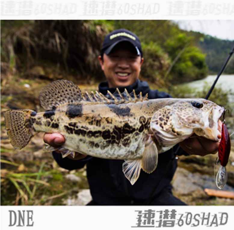 DNE Fast-Sinking Deep-Water Slow-Floating Minnow