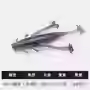 鲈语者蝶尾鱼