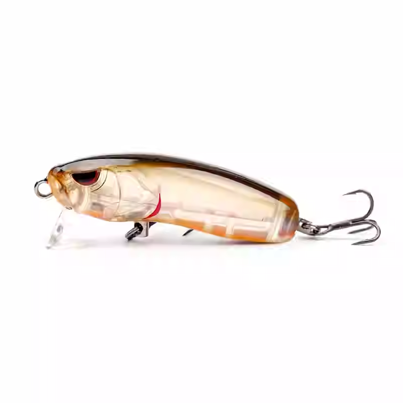 FISHANT Shallow Assassin