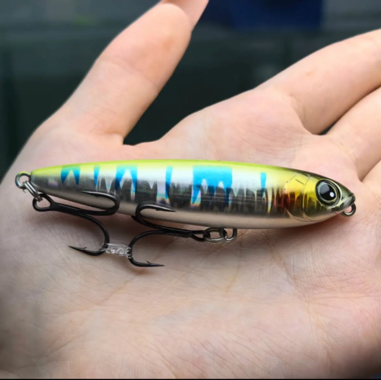 ZBX Topwater Z-Pencil