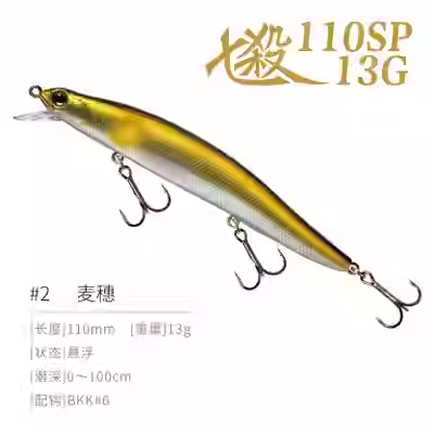 DNE Suspending Minnow